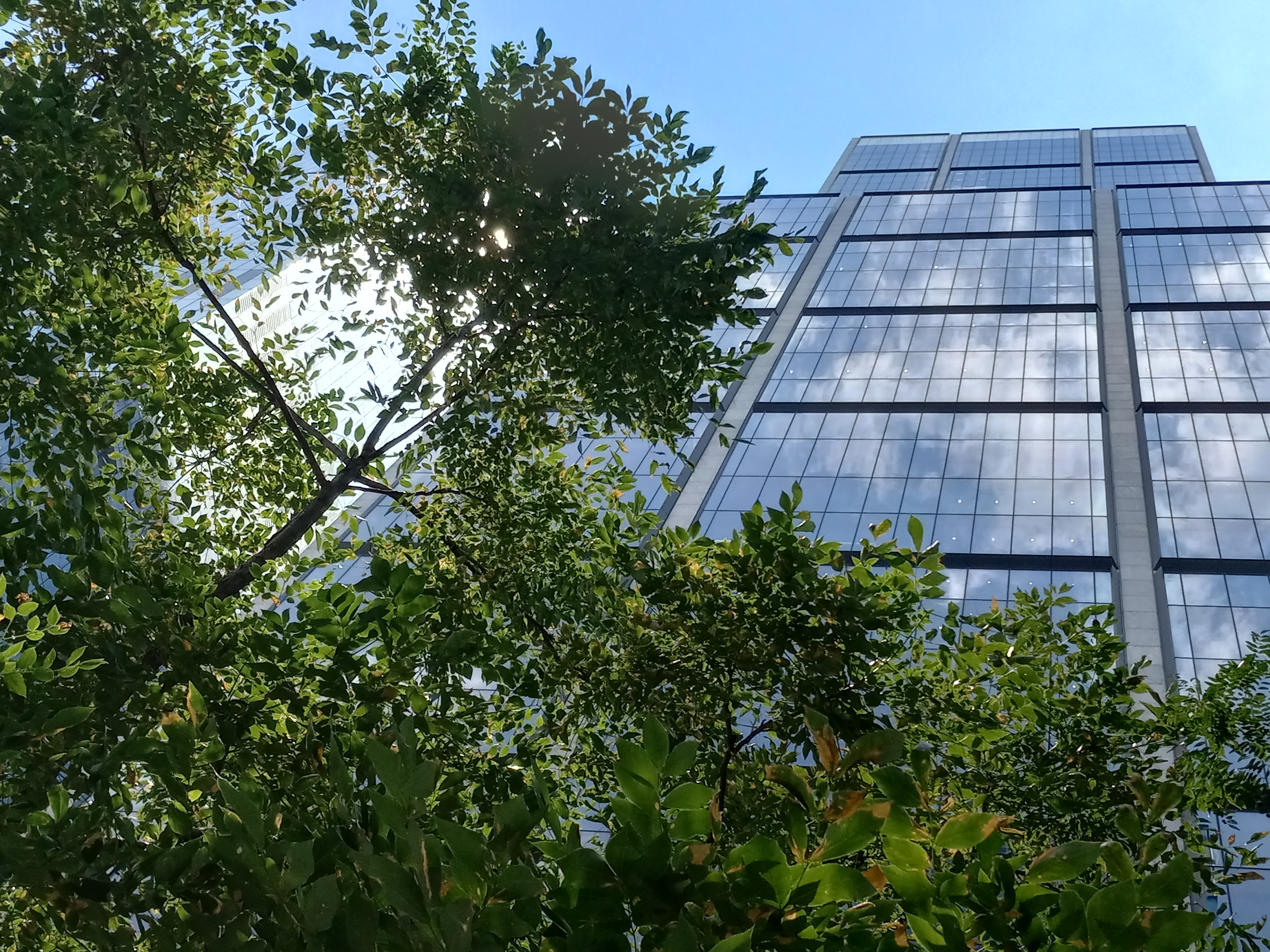 BlackRock, 50 Hudson Yards