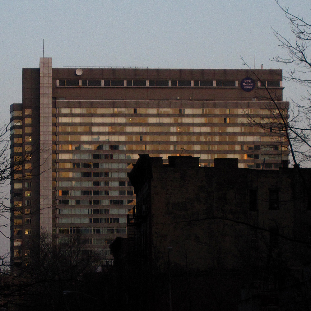 NYU Langone Health, Skirball Institute